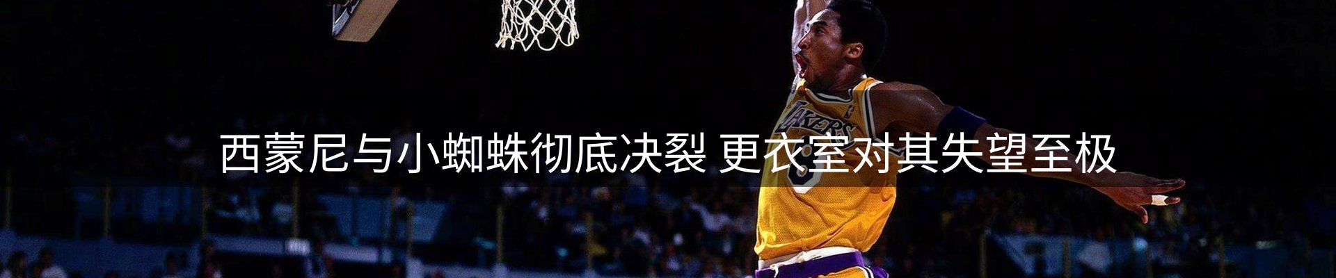 资讯总览